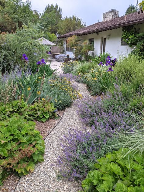 Las Lomas Drought Tolerant - Mediterranean - Landscape - Los Angeles - by Yard Maven | Houzz Landscaping Drought Tolerant California, Los Angeles Backyard Landscaping, Front Yard Mediterranean, Waterwise Landscaping California, Drought Tolerant English Garden, Mediterranean Landscape Front Yard, Northern California Backyard Landscaping, Socal Landscape Ideas, San Antonio Texas Landscaping