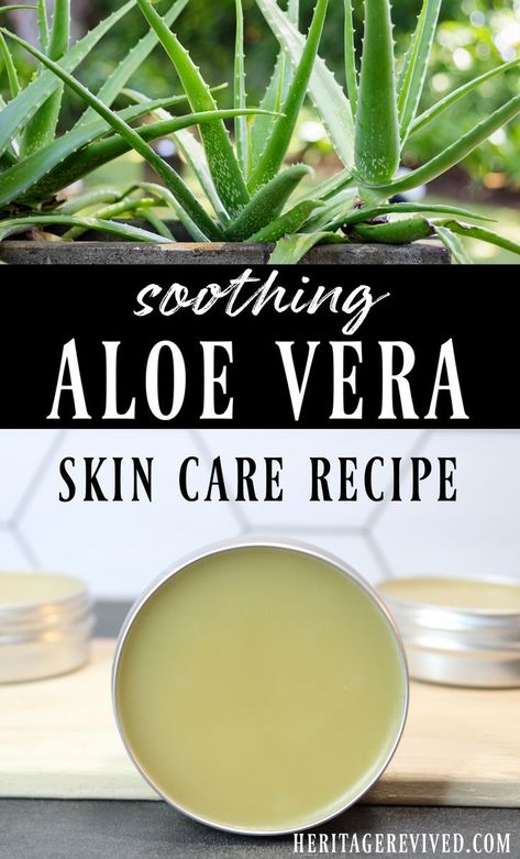 Salve recipe in tins with aloe vera plant and text overlay "Soothing aloe vera skin care recipe" Masks For Clear Skin, Aloe Vera Recipes, Natural Aloe Vera Gel, Benefits Of Aloe Vera, Aloe Vera Powder, Aloe Vera Face, Aloe Vera Skin Care, Salve Recipes, Fresh Aloe Vera