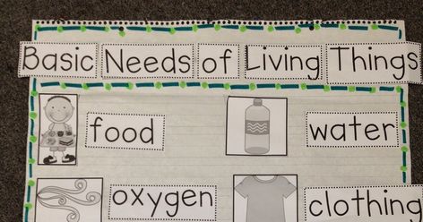 We have been learning about basic needs. We made an anchor chart to show the basic needs of living things. We compared plant needs to a... Basic Needs Of Living Things, Living Vs Non Living, Grade One Science, Living And Nonliving Things, Non Living Things, Sharing The Planet, Living And Nonliving, Biological Science, Science Anchor Charts