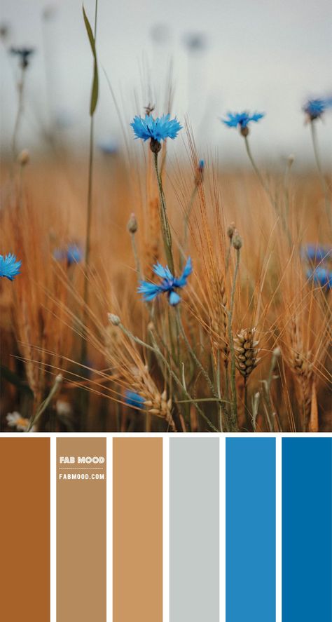 Wedding Colour Palettes, Fab Mood, Mood Wedding, Corn Flower, Wedding Colours, Wedding Colour, Color Schemes Colour Palettes, Nature Color Palette, Earth Tone Colors