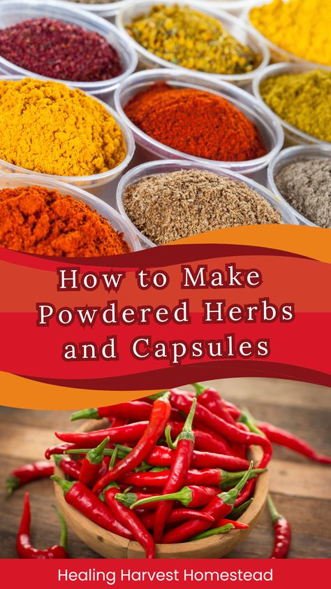 Photos of cayenne peppers and herbal powders How To Make Herbal Capsules, Herbal Capsule Recipes, Capsules Medicine, Capsule Medicine, Witchy Herbs, Medicinal Recipes, Herbal Capsules, Herbal Vitamins, Herbs Recipes