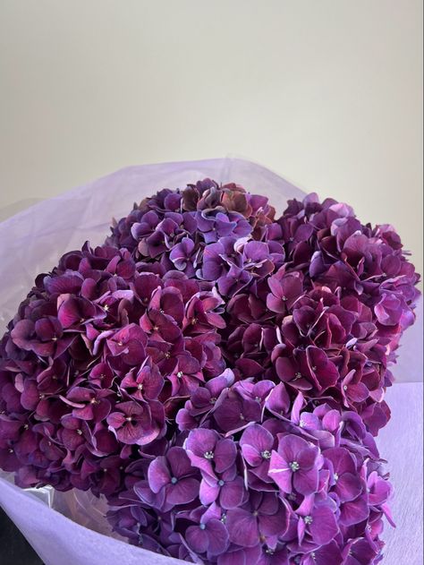 Purple hydrangeas Purple Hydrangea Bouquet, Hydrangeas Bouquet, Purple Hydrangeas, Roses And Hydrangeas, Purple Hydrangea, Magenta Flowers, Hydrangea Bouquet, Hydrangea Purple, Supper Club