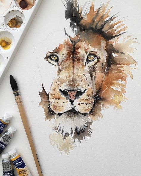 Emma Harkins (@emmaharkins.artist) on Instagram: “Lion - in progress.” #art #watercolor #watercolour Flatlay Photography, Lion Painting, Photography Backgrounds, Lion Art, Photography Lighting, Photography Lifestyle, Photography Instagram, Watercolor Drawing, Watercolor Animals