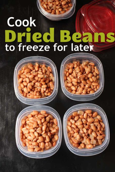 How to Cook Dried Beans and Freeze Them for Later Cook Dry Beans, Cook Dried Beans, Freeze Beans, Homemade Beans, Cooking Dried Beans, Meatless Main Dishes, Dry Beans, How To Cook Beans, Canned Beans