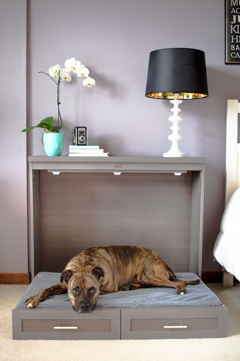 A Handy Fold-Out Murphy Bed For Dogs Murphy Bed For Dogs, Dog Bed Hallway, Dog Bed In Garage, Pull Out Dog Bed, Dog Bed Storage Ideas, Dog Bed Tv Stand, Pet Bed Night Stand, Hidden Dog Bed Ideas, Dog Bed Drawer