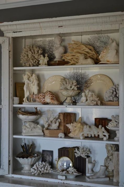 Seashell Aesthetic, Hallway Table Decor, Sea Shell Art, Shell Display, Aesthetic Sea, Art Coquillage, Sea Shell Decor, Beach Cottage Decor, Shell Decor