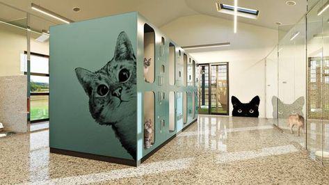 Animal Shelter Decor, Kitchen Design Space Saving, Pet Hotel Design, Urban Kitchen Design, Animal Shelter Design, Cat Play Area, Pet Store Design, Cat Room Decor, Space Saving Ideas