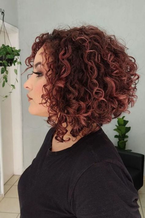 Curly Angled Bob With Highlights Coily Bob Hairstyles, Curly Hair Angled Bob, Graduated Bob Haircuts With Fringe, Angled Curly Bob Hairstyles, Graduated Bob Curly Hair, Curly Angled Bob Medium, Curly Graduated Bob, Angled Curly Bob, Bob Hairstyles Curly Hair