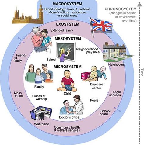 Bronfenbrenner's Ecological Framework Urie Bronfenbrenner Theory, Bronfenbrenner Theory, Bronfenbrenner’s Ecological Model, Urie Bronfenbrenner, Phytoremediation Diagram, Structural Dissociation Diagram, Social Work Theories, Ecological Systems Theory, Child Development Theories