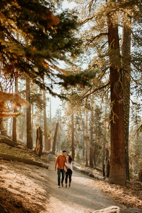 Couple In Forest Photography, Couples In Forest, Couple Shoots Outdoor, Yosemite Couple Photos, Couple Shooting Outdoor, Outdoors Couple, Couple Forest, Hiking Photoshoot, Yosemite Engagement Photos