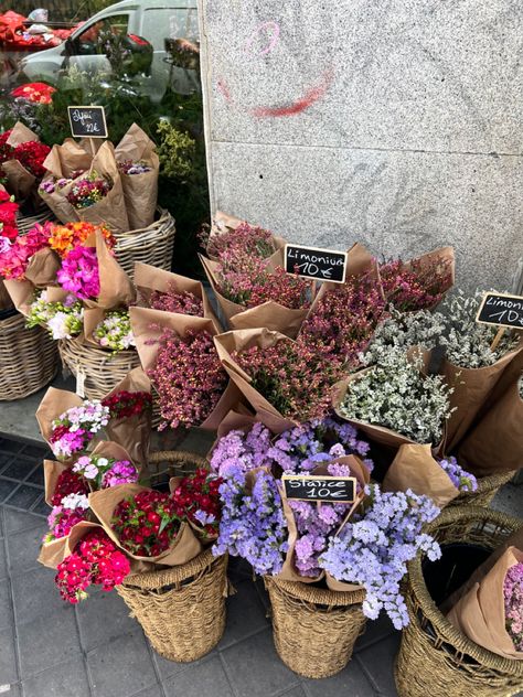 Flowers, spain, madrid, euro, flower market, storefront Spain Flowers, Flower Market Aesthetic, Madrid Market, Flowers Market, Ready Aesthetic, Farmers Market Display, Market Flowers, Spain Madrid, Money Flowers