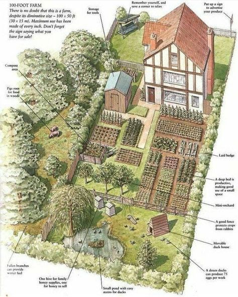 Farm Layout Design, Layout Design Ideas, Homestead Layout, Small Backyard Design Ideas, Backyard Design Ideas Budget, Backyard Design Ideas, Backyard Design Layout, Bangunan Minecraft, Farm Layout