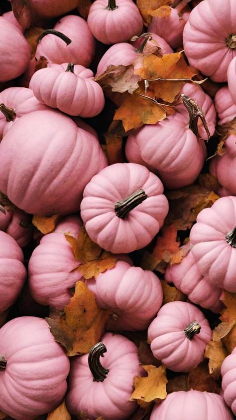 Halloween Pink Aesthetic, Fall Vibes Wallpaper Iphone, Pink Aesthetic Cute, Pink Aesthetic Girly, Pink Thanksgiving, Aesthetic Spooky, Apps On Your Phone, Autumn Phone Wallpaper, Pumpkin Wallpaper