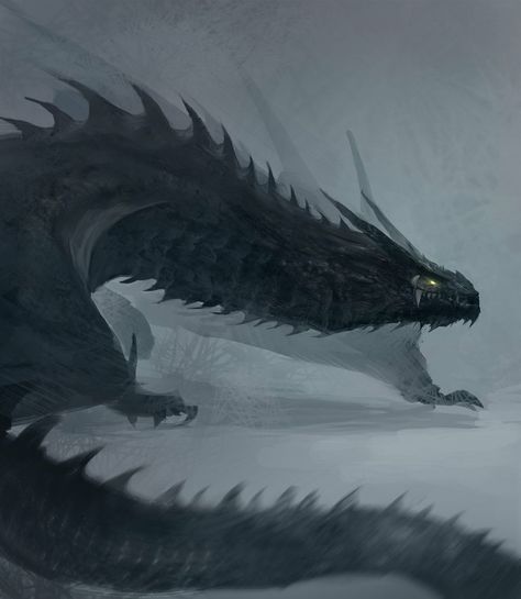 Dragon Sketch, Mythical Animal, Fantasy Beasts, 다크 판타지, Monster Concept Art, Creature Drawings, Dragon Pictures, Fantasy Monster, Fantasy Creatures Art