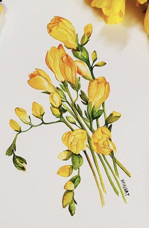 Freesia Drawing, Freesia Flower Painting, Freesia Illustration, Freesia Painting, Watercolour Freesia, Freesia Watercolor Painting, Small Flower Drawings, 자작나무 그림, Watercolor Art Diy