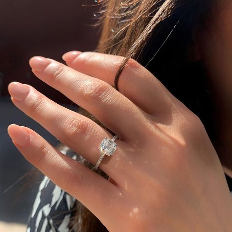 Michael Alan Jewelers on Instagram: “Look at that fire! 🔥✨” Hidden Halo Engagement Ring, Cushion Cut Moissanite, Moissanite Engagement Ring Solitaire, Types Of Diamonds, Hidden Halo, 14k Gold Ring, Designer Engagement Rings, Moissanite Rings, Halo Engagement Ring