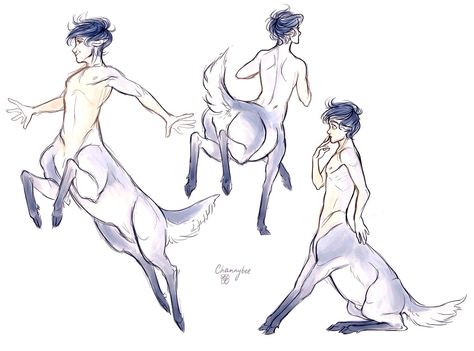 Centaur mythical male reference Anime Centaur, Deer Art, Concept Art Drawing, Amazing Drawings, Mythical Creatures Art, Fantasy Concept Art, Creature Concept, Drawing Base, Creature Art