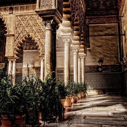 Ancient Arabian Aesthetic, House Martell Aesthetic, Martell Aesthetic, Game Of Thrones Aesthetic, Elia Martell, Fantasy Places, Orange Tree, Arabian Nights, Character Aesthetic