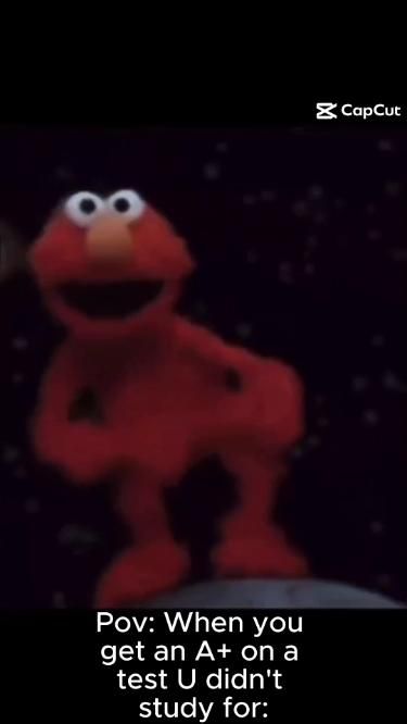 Elmo Funny, Elmo Pictures, Funny Elmo, Presley Core, Elmo Videos, Elmo Memes, Elmo And Friends, Funny Mean Quotes, Bingo Funny