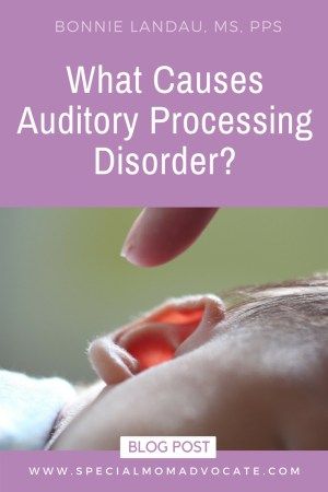 What Causes Auditory Processing Disorder? | Special Mom Advocate Auditory Processing Disorder Activities, Auditory Processing Activities, Ventura County California, Auditory Processing Disorder, Social Stories Preschool, Auditory Processing, Language Disorders, Special Needs Mom, Life Skills Special Education