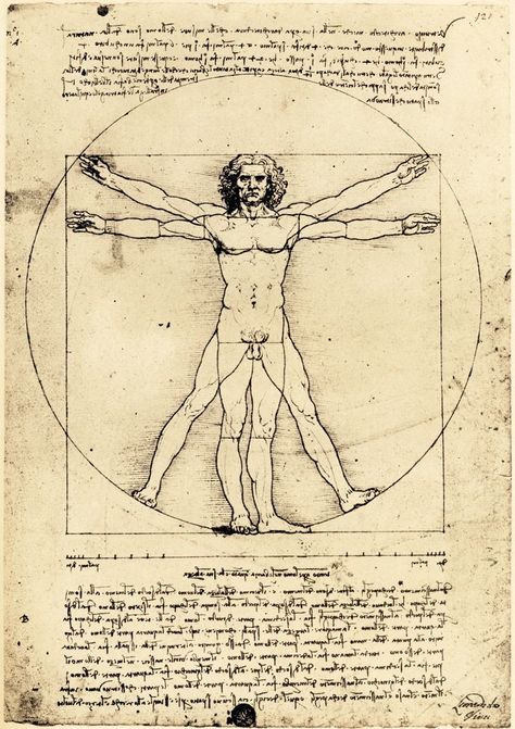 Drawing Book Pdf, Da Vinci Vitruvian Man, Vitruvian Man, Albrecht Durer, Popular Art, Famous Art, Anatomy Art, Human Figure, Figure Drawing