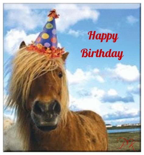 Happy Birthday Horse Birthday Horse, Happy Birthday Nephew, Cute Birthday Wishes, Horse Birthday Parties, Horse Birthday, Happy Birthday Meme, Happy Birthday Quotes For Friends, Happy Birthday Funny, Birthday Meme