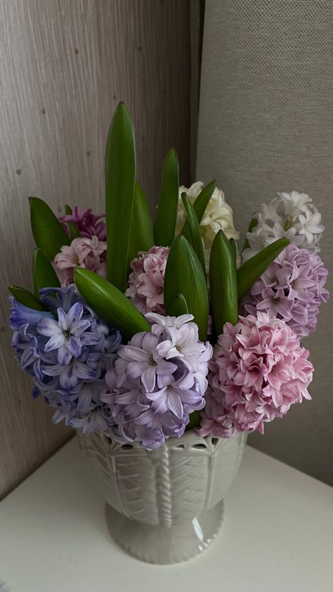 #hyacinth #flowers #springflowers Hyacinth In Vase, Hyancith Flower Aesthetic, Hycanith Flower Aesthetic, Hyacinths Aesthetic, Hyacinth Centerpiece, Hyacinth Aesthetic, Hyacinth Wallpaper, Hyacinth Wedding, Grad Bouquet