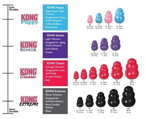 Kong Treats, Kong Stuffing, Dogs Things, Dog Boredom, Kong Dog Toys, Dog Training Tools, Kong Toys, Easy Dog Treats, Healthy Dog Treats Homemade