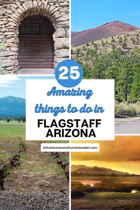 "Discover the wonders of Flagstaff, Arizona! From exploring the historic castle to hiking through breathtaking mountain trails, there's something for everyone. Don't miss the opportunity to witness the unique beauty of the craters and lava flow trails. Whether you're a nature enthusiast or history buff, Flagstaff has it all. Plan your visit today and experience the amazing attractions this charming city has to offer. #Flagstaff #Arizona #Explore #Adventure" Things To Do In Flagstaff Arizona, Flagstaff Arizona Things To Do In, Arizona Attractions, Biking Trail, Usa Road Trips, Arizona Trip, Arizona Vacation, Prescott Arizona, Visit Arizona