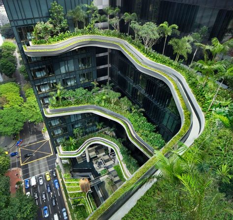 Singapore Architecture, Architecture Cool, Types Of Architecture, Green Architecture, Sky Garden, Royal Hotel, Green City, Future City, Urban Farming