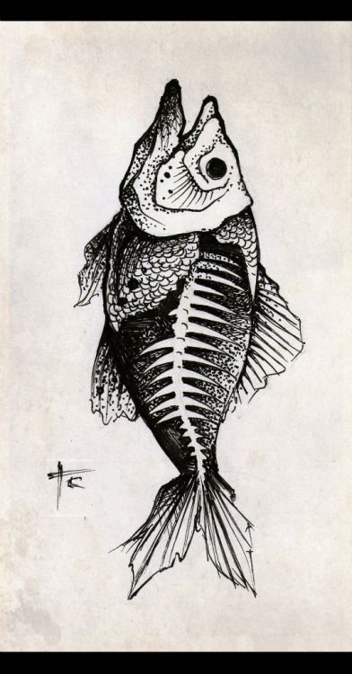 Alex Tabuns, Tato Tradisional, Skeleton Artwork, Fish Skeleton, Skeleton Drawings, Skeleton Illustration, Animal Skeletons, Skeleton Tattoos, Fish Drawings