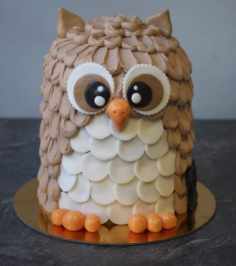 Owl Birthday Cakes, Owl Birthday Party Ideas, Owl Cake Pops, Owl Cake Birthday, Cake Decorating Party, Owl Cakes, Owl Birthday Parties, Animal Birthday Cakes, Nature Party