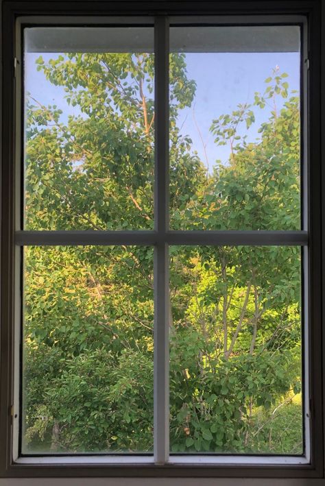 Sunny Window Aesthetic, Picture Through A Window, Pictures Of Windows, Green Morning Aesthetic, Open Window Aesthetic, Window View Aesthetic, Window Landscape, Comp Sci, Aesthetic Window