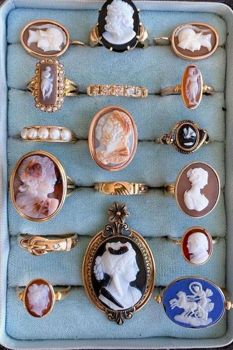 Victorian Jewelry Curio Aesthetic, Cameo Rings, Butterfly Memorial, Memorial Ring, Princess Jewelry, Cameo Jewelry, Dope Jewelry, Aquamarine Jewelry, Garnet Jewelry