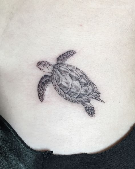 Hawksbill Sea Turtle Tattoo, Green Sea Turtle Tattoo, Sea Tattoos, Scuba Tattoo, Hawksbill Sea Turtle, Sea Turtle Tattoo, Sea Tattoo, Turtle Tattoo, Green Sea Turtle