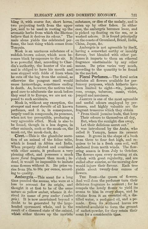 Books Paper, A Page Of A Book, Page From A Book, Page Books, Pages Of Books Aesthetic, Random Book Pages To Print, Printing On Book Pages, Pages Of Books, Old Book Paper