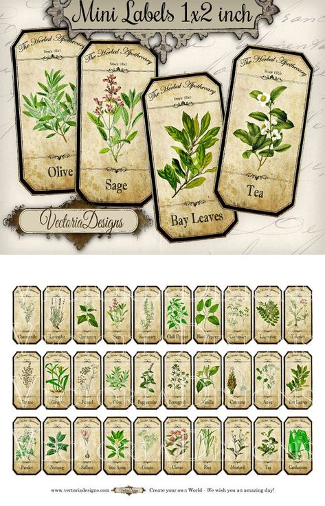 Mini Herbal Apothecary Labels, Spice Jar Labels, Herb LabelsMini Herbal Apothecary Labels - a collection of 30 different herbal bottle and jar labels for your kitchen - these would look great on test tubes.What you actually want to know:° 30 high quality (300 dpi) labels (2 x 1 inch) on 1 JPG 8.5 Herb Labels, Herbs List, Sage Tea, Apothecary Labels, Potion Labels, Spice Jar Labels, Spice Labels, Herbal Apothecary, Apothecary Bottles