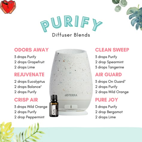 Doterra Oils Recipes, Doterra Blends, Doterra Diffuser, Doterra Diffuser Blends, Doterra Essential Oils Recipes, Essential Oil Diffuser Blends Recipes, Essential Oil Diffuser Recipes, Oil Diffuser Recipes, Essential Oil Blends Recipes