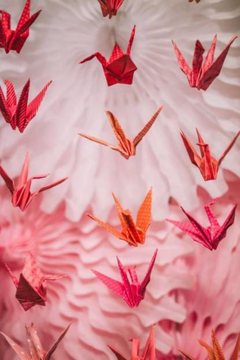 Japanese Themed Party, Japanese Theme Parties, Japan Party, Cherry Blossom Party, Chinese Birthday, Ombre Colour, Chinese Party, Japanese Party, Party Tents