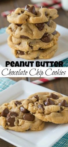 Cho Chip Peanut Butter Cookies, Chew Peanut Butter Cookies, Pb Chip Cookies, Almond Flour Peanut Butter Chocolate Chip Cookies, Dark Chocolate Peanut Butter Cookies, Easy Pb Cookies, Chocolate Pb Cookies, Dessert Recipes With Peanut Butter, Peanut Butter Cookies With Choc Chips