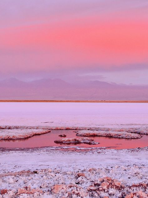 Strange Landscapes, Atacama Desert Chile, Valley Of The Moon, Atacama Desert, Pink Desert, Desert Dream, Thermal Spring, Alien Planet, Desert Sunset