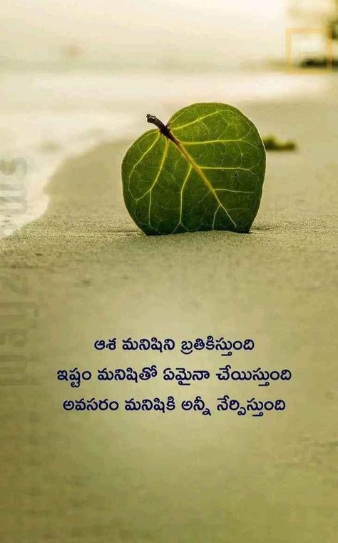 # Telugu quote Best Husband Quotes, People Quotes Truths, Bible Emergency Numbers, Telugu Inspirational Quotes, Devotional Reading, Meaningful Pictures, Funny Questions, Cute Quotes For Life, Life Quotes Pictures