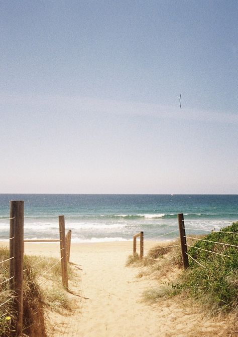 #disposable #film #summer #beach #spring #aesthetic #waves #surfing Beach On Film Aesthetic, Old Beach Aesthetic, Endless Summer Aesthetic, Beach Film Aesthetic, 90s Beach Aesthetic, Summer Film Aesthetic, Vintage Beach Aesthetic, Beach On Film, Summer On Film