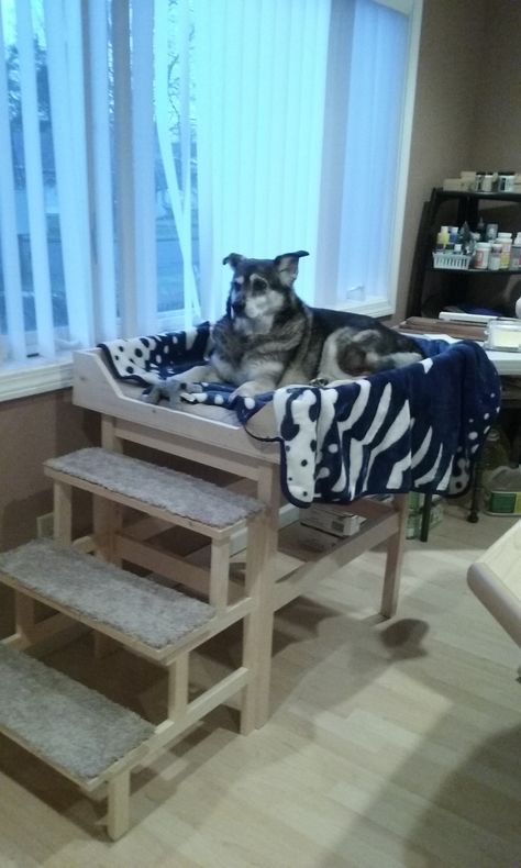 33"Hx56"Lx26"W dog perch, dog window seat, sick dog crib, dog throne, dog chill pad, raised dog bed, dog bed with steps. Made this for my pup out of select pine boards. Tools needed: miter saw, screwdriver, doweling jig, Supplies: clamps, drill bits, wood glue, screws Window Dog Bed, Dog Platform Bed, Dog Window Seat, Dog Steps For Bed, Raised Dog Bed, Raised Dog Beds, Dog Window, Elevated Dog Bed, Diy Dog Bed