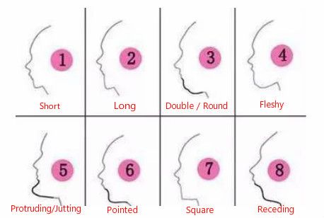 Chin Shapes, Chinese Face Reading, Chiseled Jaw, Nose Types, Shape Chart, Powerful People, Anatomy References, Wide Nose, Face Reading