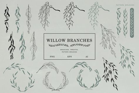 Willow branches on Behance Willow Branches, Adobe Photoshop Elements, Willow Pattern, Branch Design, Spring Is Coming, Holly Leaf, Logo Fonts, Unique Fonts, Christmas Vectors