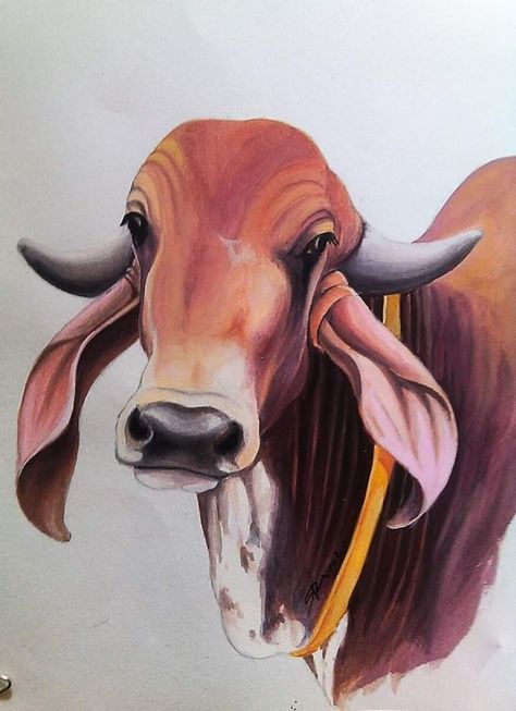 Painting by- Shailesh Raval Goshala Design, Gado Leiteiro, Indian Cow, Gir Cow, Nguni Cattle, Cow Sketch, Green Logo Design, Horse Canvas Painting, Cow Logo