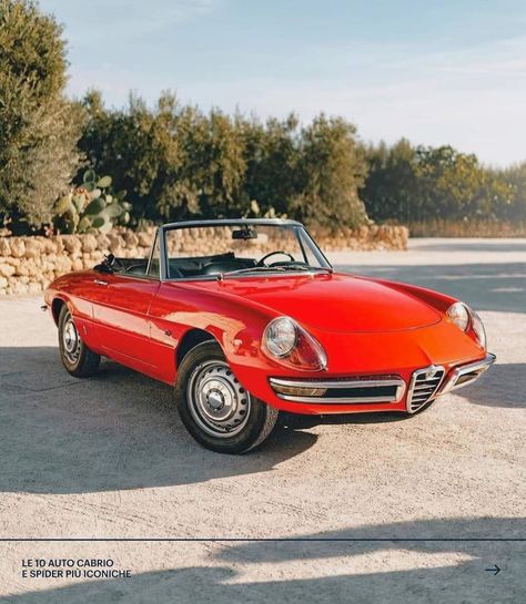 Alfa Romeo Spider Duetto, Car Moodboard, Alfa Spider, Alfa Romeo Spider, Retro Car, Zoom Zoom, Vw Bus, Retro Cars, Car Manufacturers