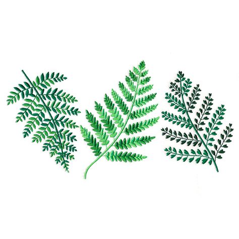 Machine Embroidery Designs at Embroidery Library! - Embroidery Library Wild Ferns, Library Embroidery, Message Thread, Embroidered Towels, Flour Sack Towels, Calico Cat, Embroidery Library, Towels Design, Linen Towels