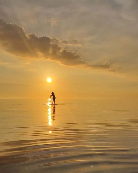 In two weeks, I'm trading my Lake Ontario sunrise paddles and Toronto skyline sunsets to have Georgian Bay literally right outside my door.  @stephnairn  #livelaughpaddle #SUP #paddleboarding #paddleforever #standuppaddle #goosehillsport #standuppaddleboarding #livetoplay #naishSUP #girlsonboards #bluemind #suplifestyle #suplove #supconnect #supgirl #suplife #sunrise Standup Paddling, Paddle Boarding Pictures, Sup Girl, Stand Up Paddle Boarding, Sup Stand Up Paddle, Paddle Surfing, Sunrise Photos, Outdoors Tattoo, Stand Up Paddle Board